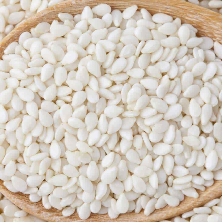 سيبسيب849سي84ب6سيب